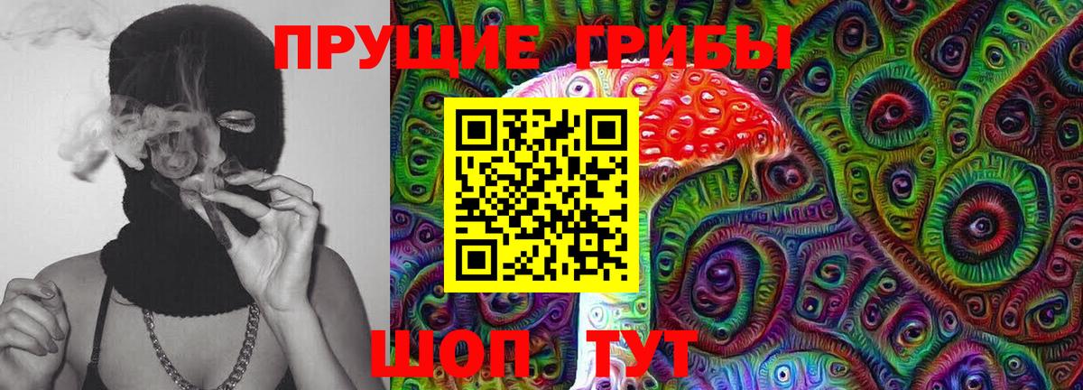 Галлюциногенные грибы GOLDEN TEACHER  как найти   Тимашёвск  Вход с VPN 