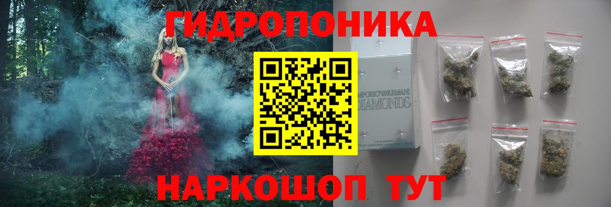 МАРИХУАНА план Тимашёвск